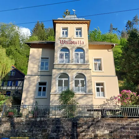 Waldvilla Apartment