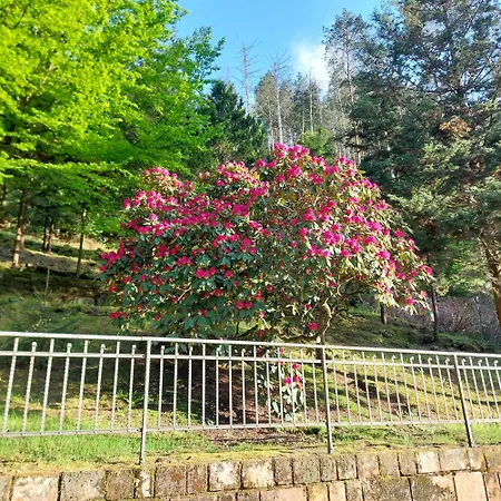 Waldvilla